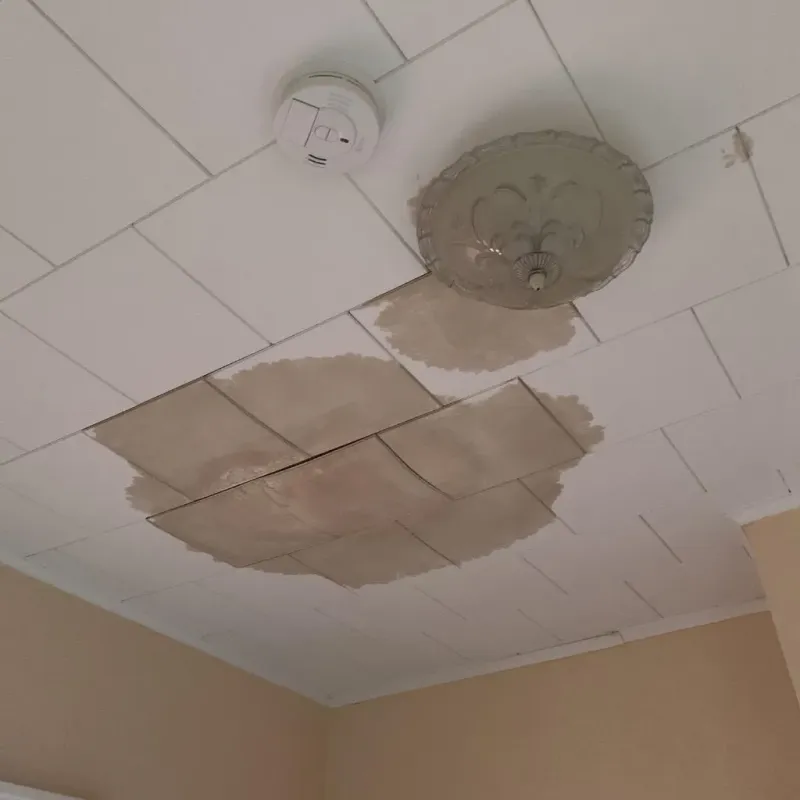 Ceiling Water Damage Repair in Airmont, NY